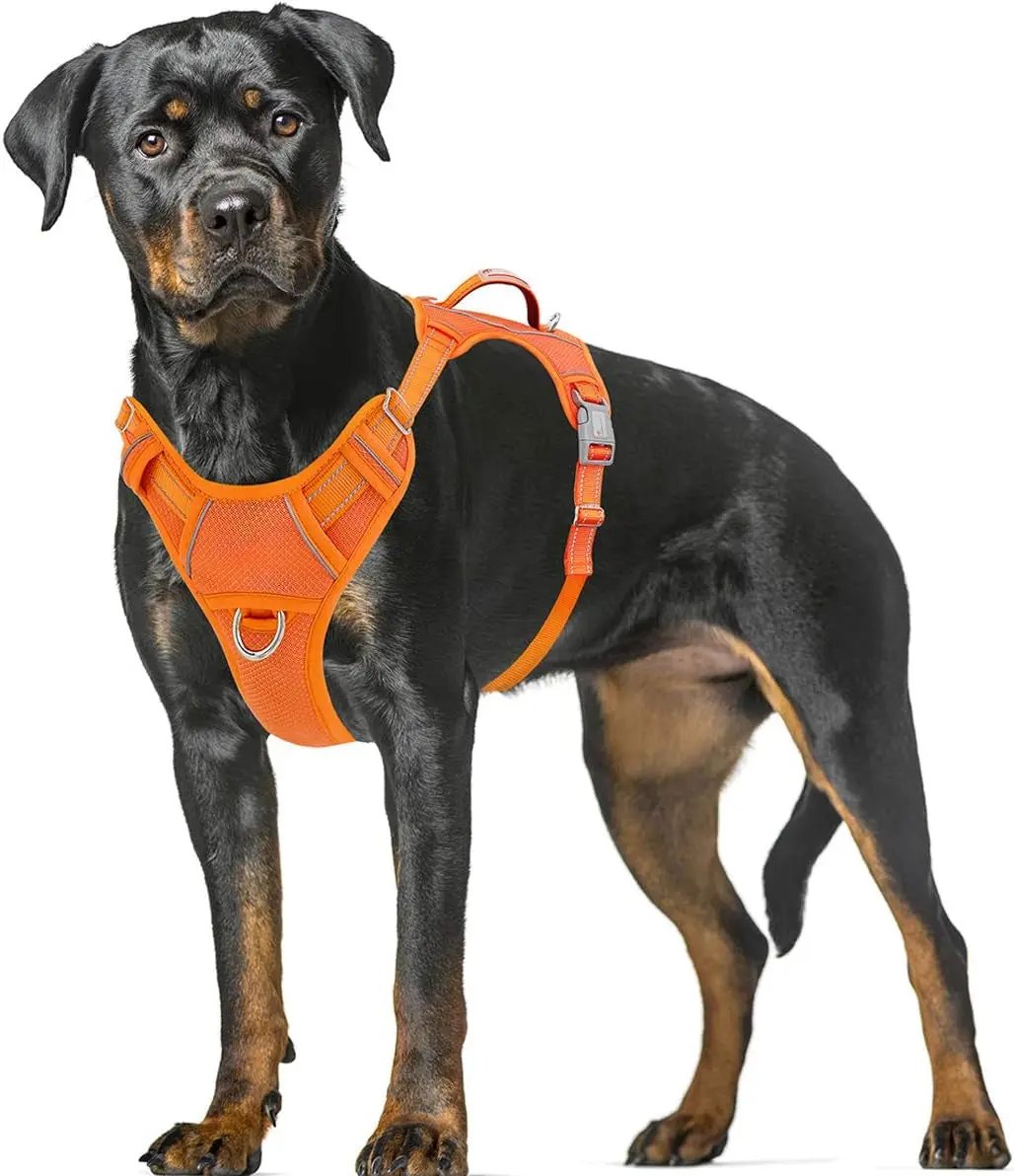 Reflective No-Pull Dog Harness, Adjustable Comfort for Training & Walking Orange X-Large