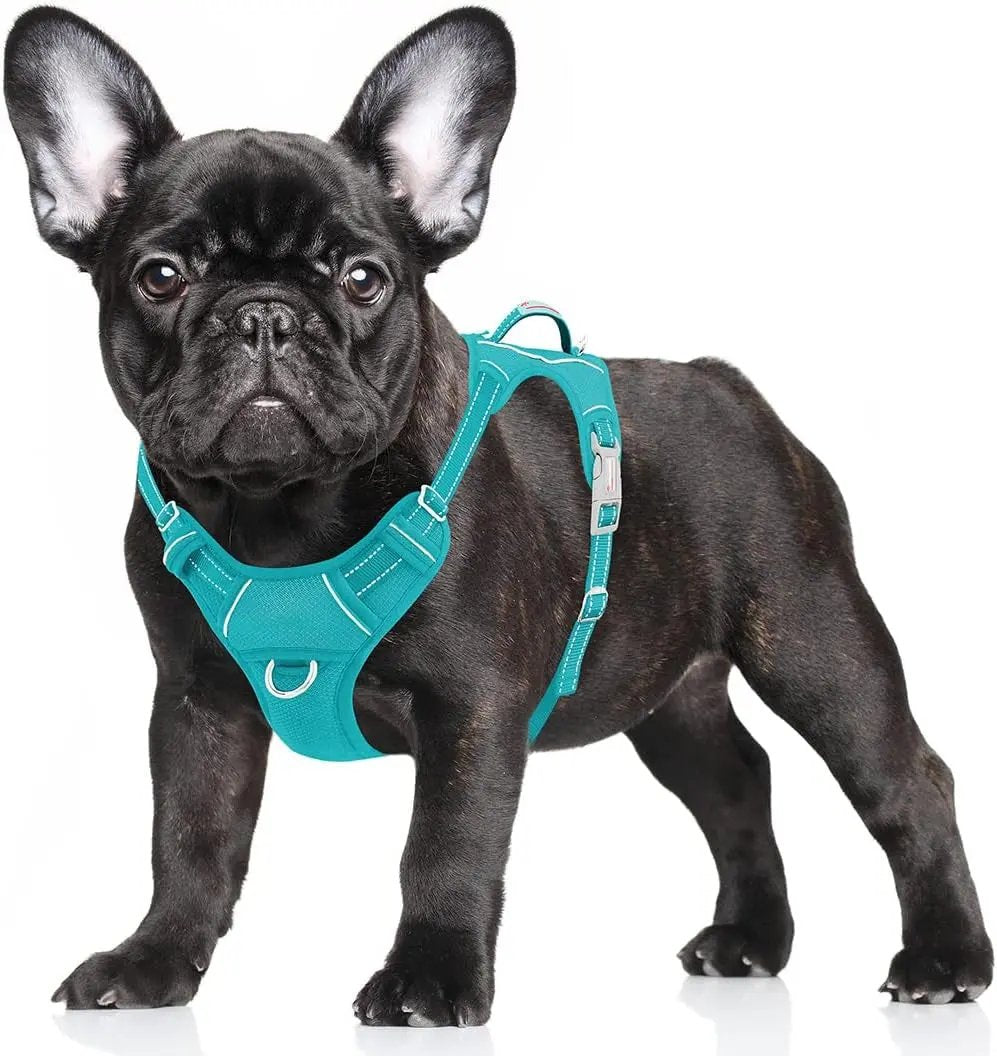 Reflective No-Pull Dog Harness, Adjustable Comfort for Training & Walking Ocean Blue Small