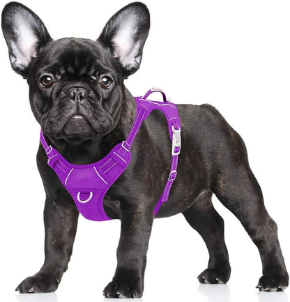 Reflective No-Pull Dog Harness, Adjustable Comfort for Training & Walking Purple Small