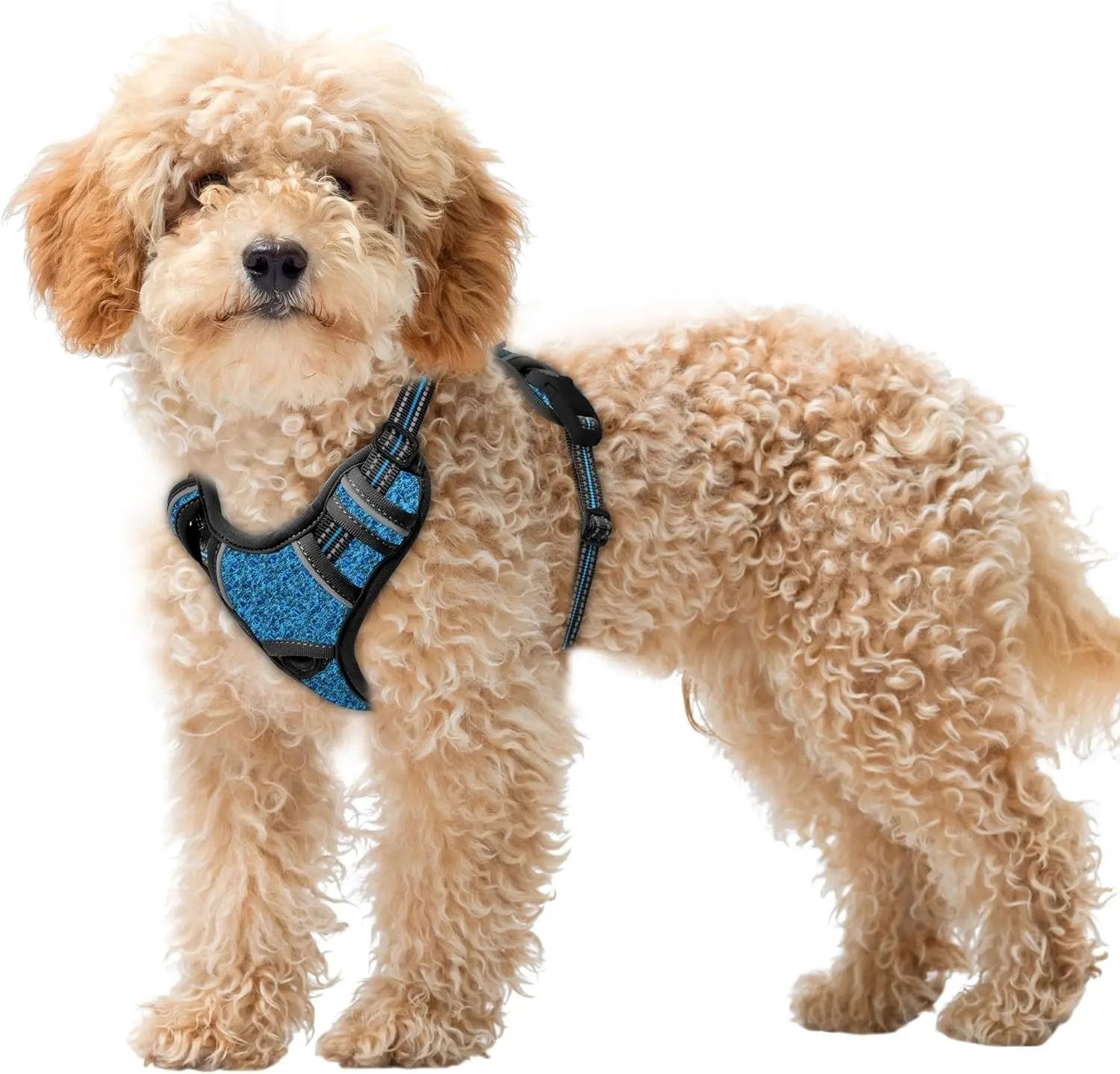 Reflective No-Pull Dog Harness, Adjustable Comfort for Training & Walking Blue Black X-Small