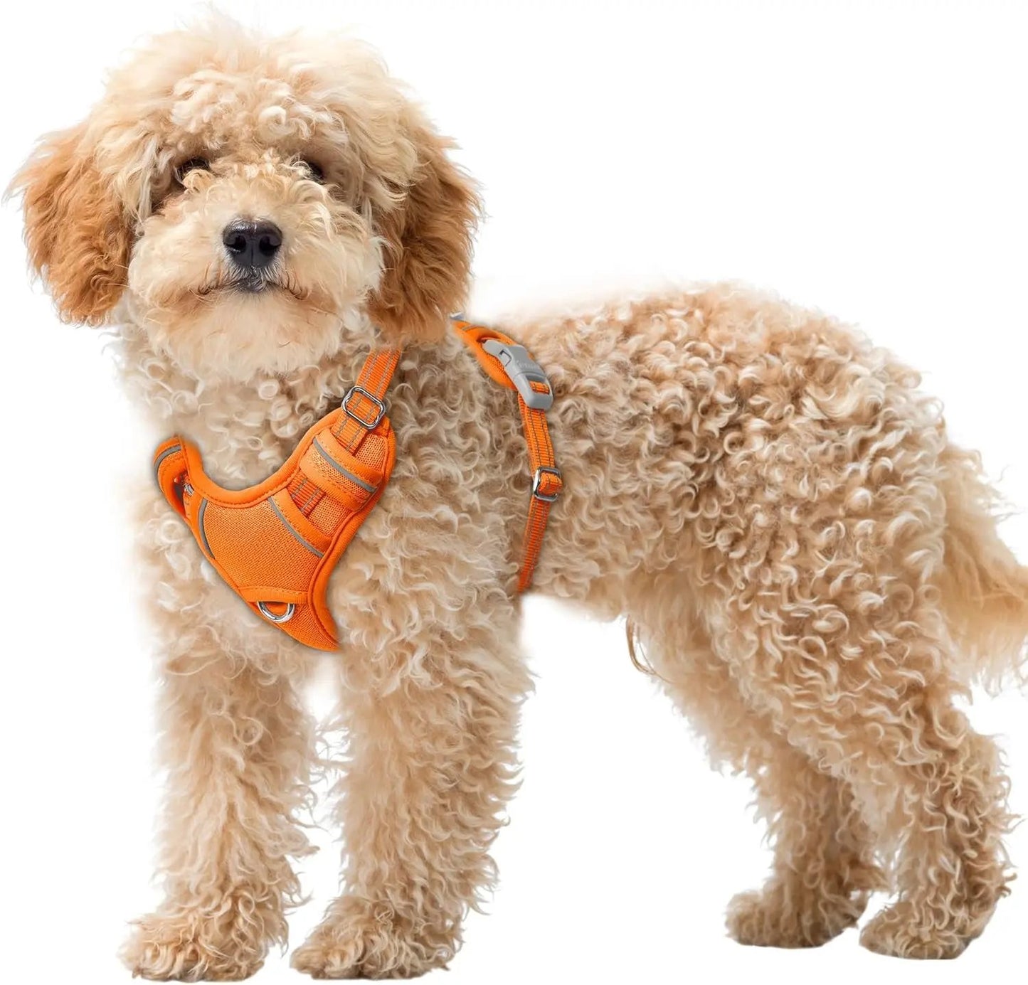 Reflective No-Pull Dog Harness, Adjustable Comfort for Training & Walking Orange X-Small