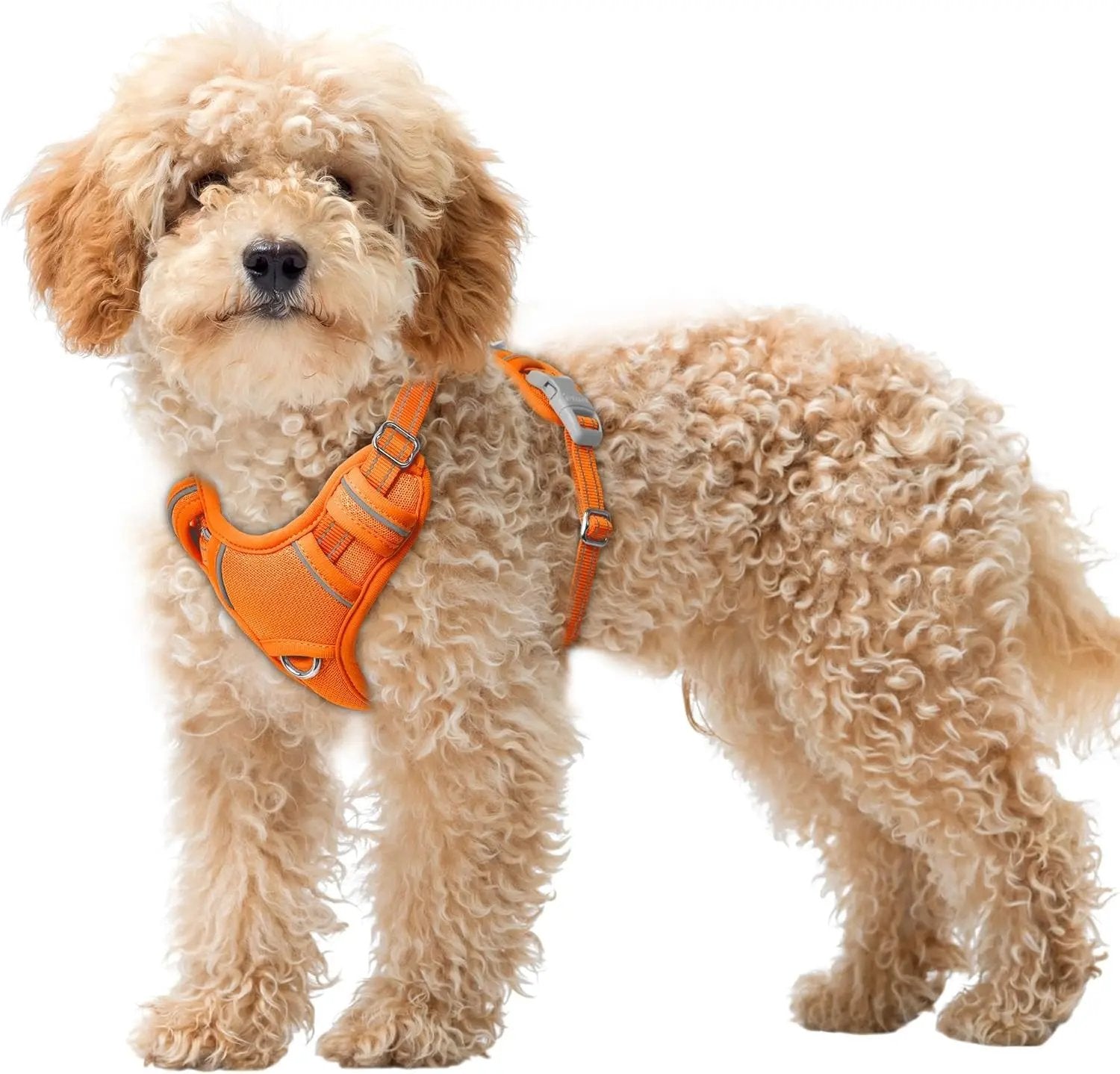 Reflective No-Pull Dog Harness, Adjustable Comfort for Training & Walking Orange X-Small