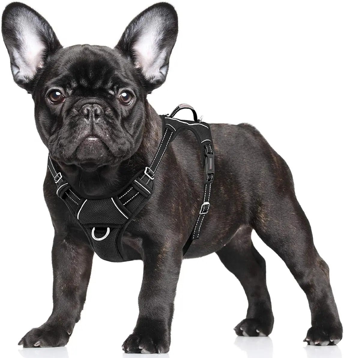 Reflective No-Pull Dog Harness, Adjustable Comfort for Training & Walking Black Small