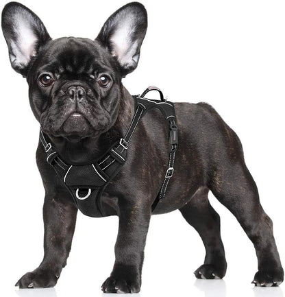 Reflective No-Pull Dog Harness, Adjustable Comfort for Training & Walking Black Small