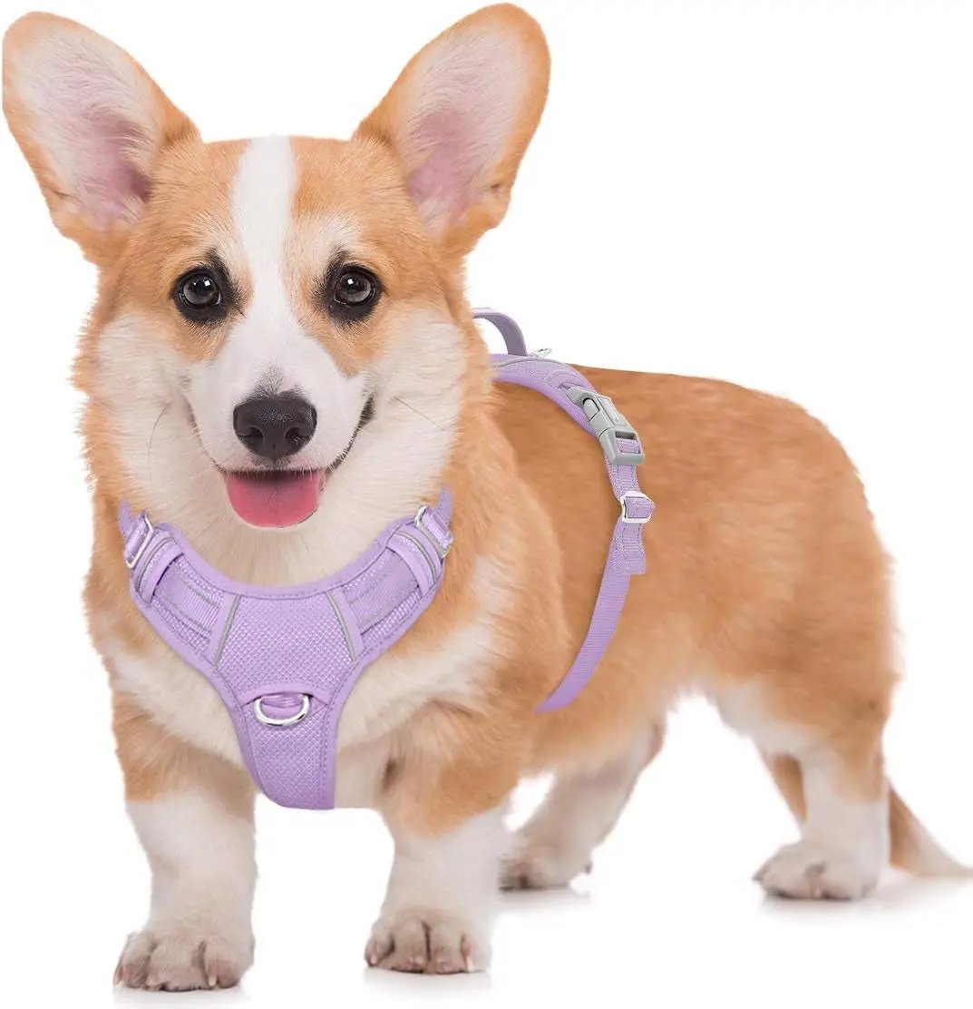 Reflective No-Pull Dog Harness, Adjustable Comfort for Training & Walking Violet Purple Medium