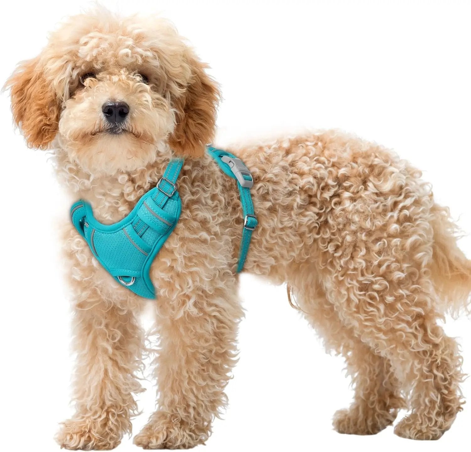Reflective No-Pull Dog Harness, Adjustable Comfort for Training & Walking Ocean Blue X-Small