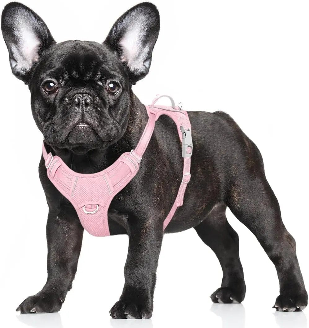 Reflective No-Pull Dog Harness, Adjustable Comfort for Training & Walking Baby Pink Small