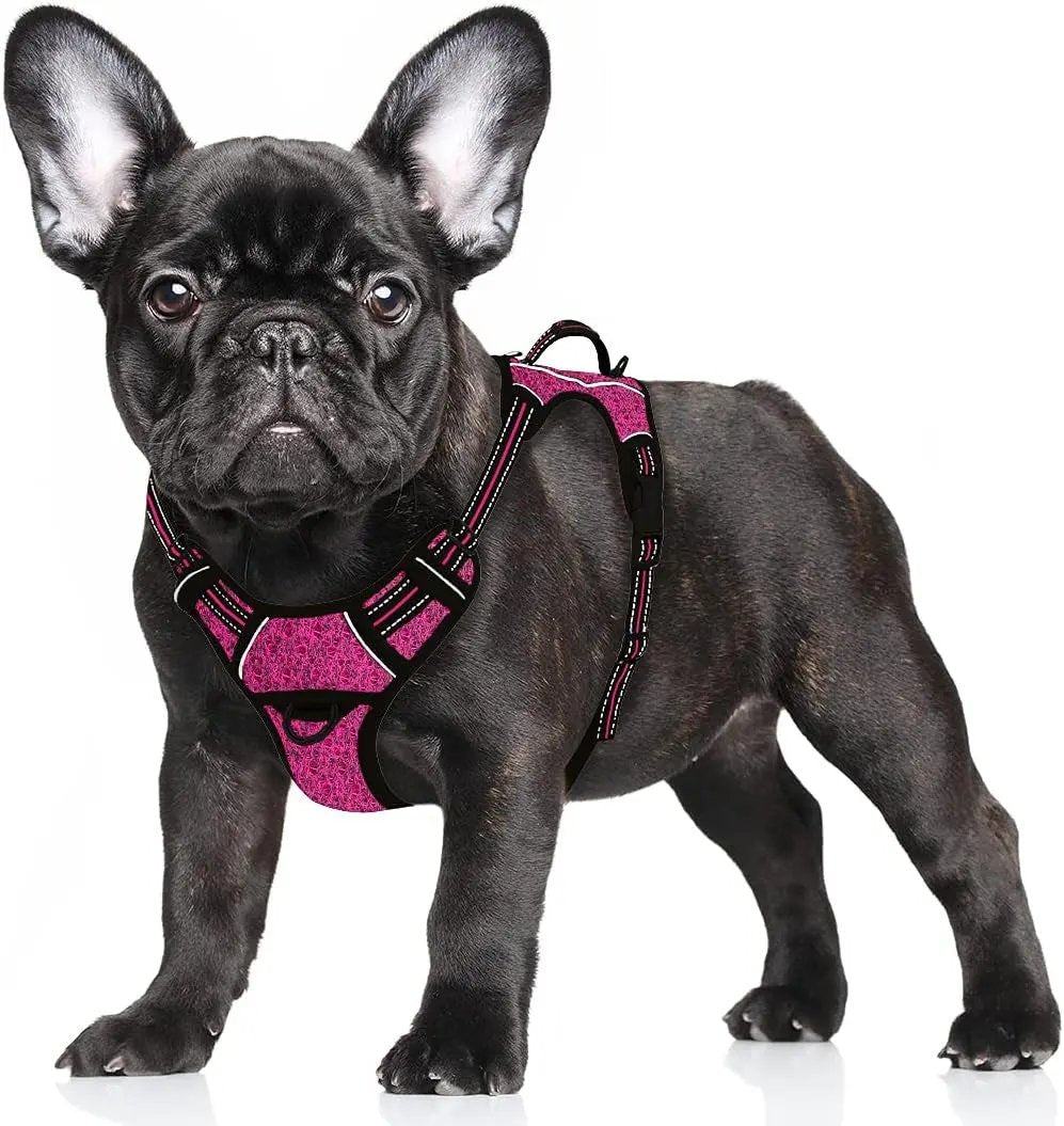 Reflective No-Pull Dog Harness, Adjustable Comfort for Training & Walking Pink Black Small