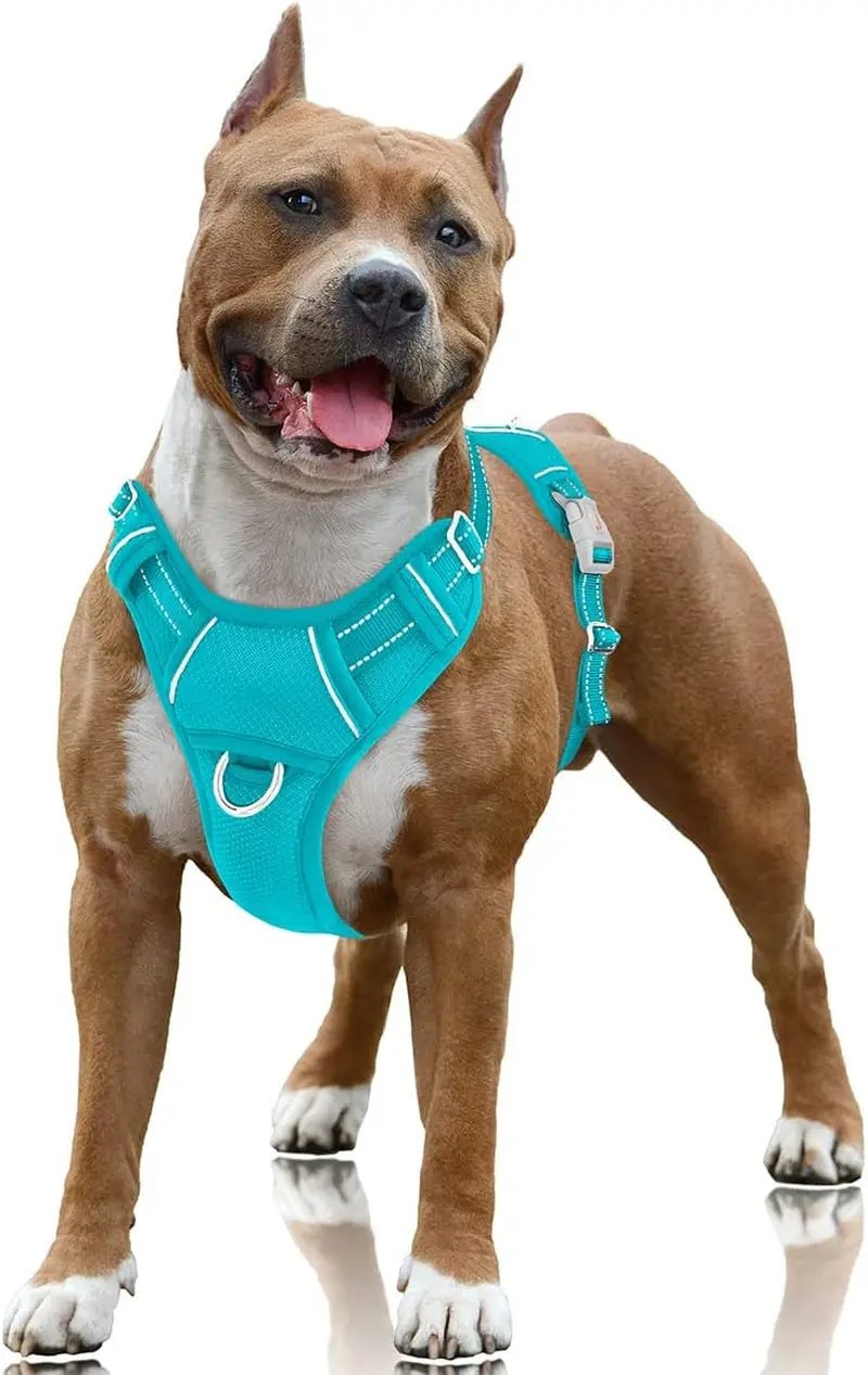Reflective No-Pull Dog Harness, Adjustable Comfort for Training & Walking Ocean Blue Large