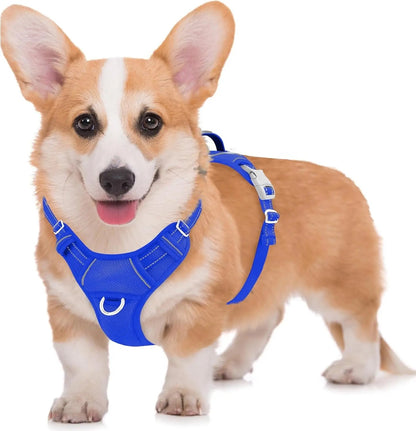 Reflective No-Pull Dog Harness, Adjustable Comfort for Training & Walking Sapphire Blue Medium