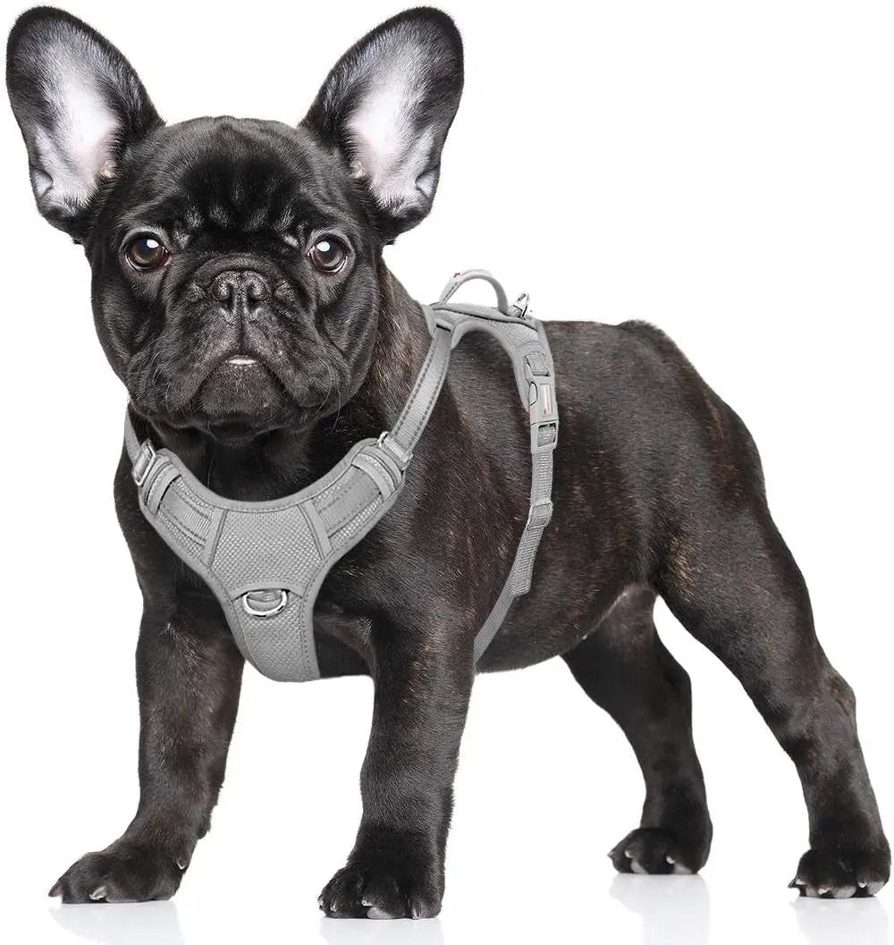 Reflective No-Pull Dog Harness, Adjustable Comfort for Training & Walking Grey Small