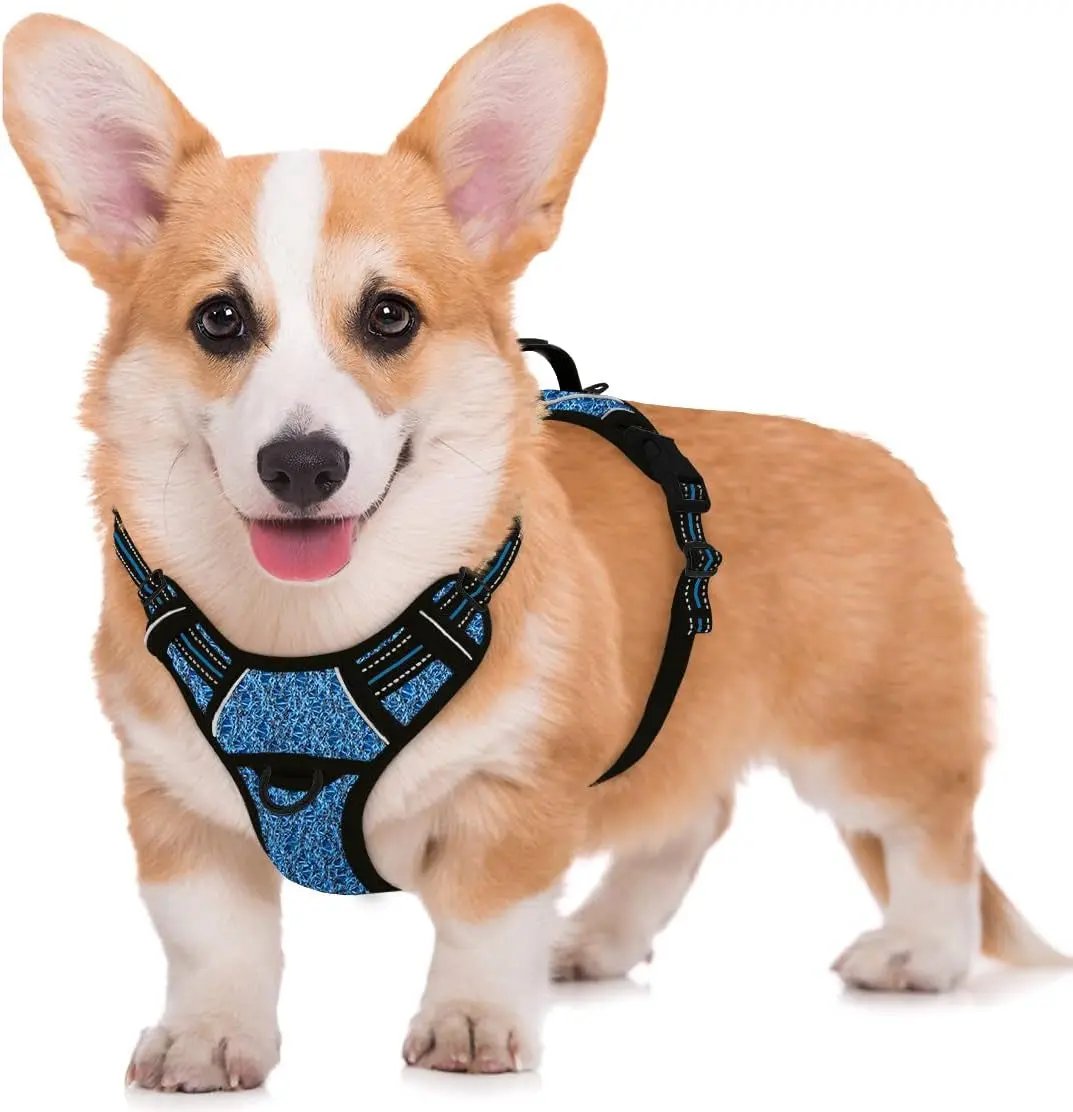 Reflective No-Pull Dog Harness, Adjustable Comfort for Training & Walking Blue Black Medium