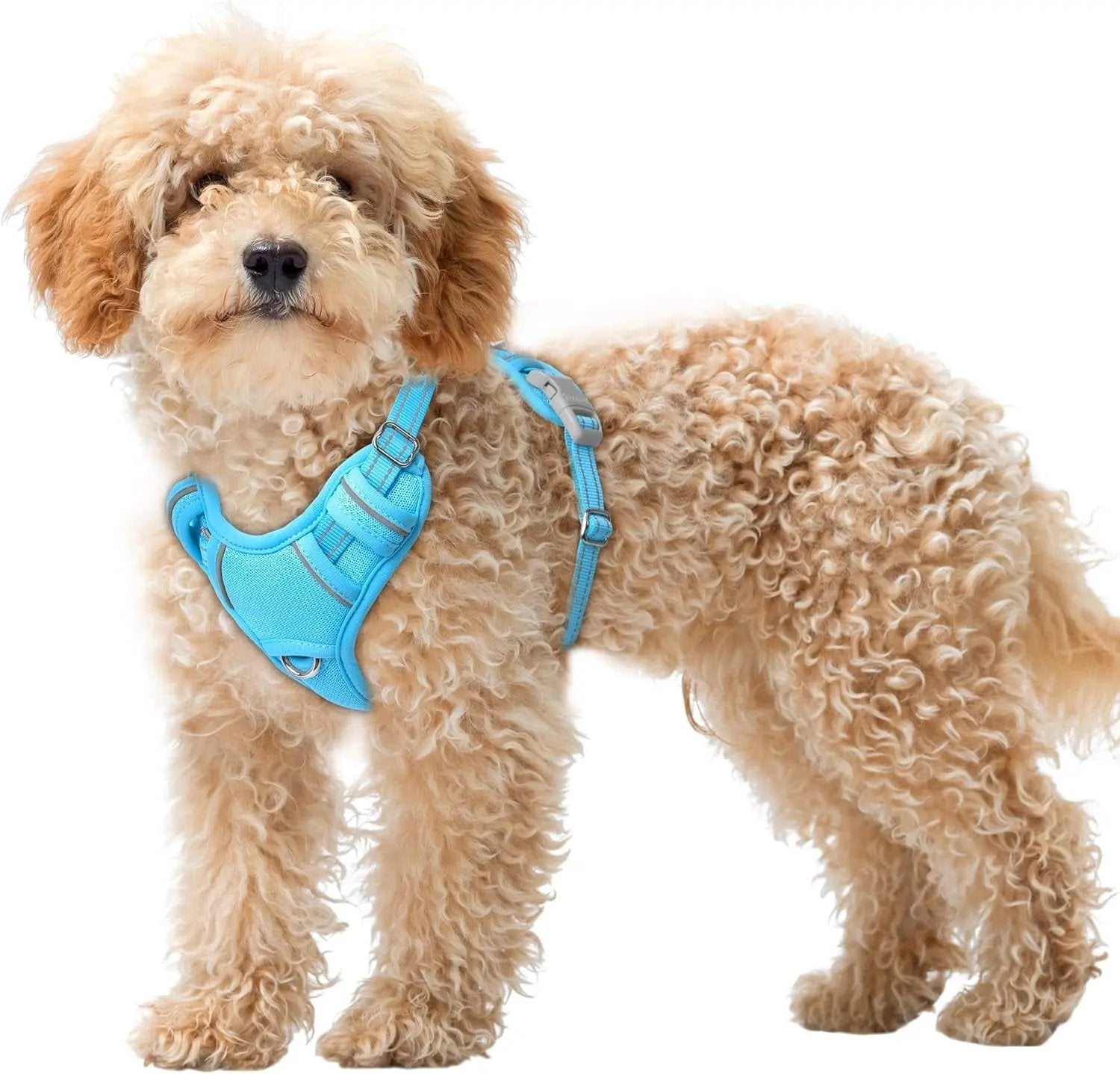 Reflective No-Pull Dog Harness, Adjustable Comfort for Training & Walking Blue X-Small