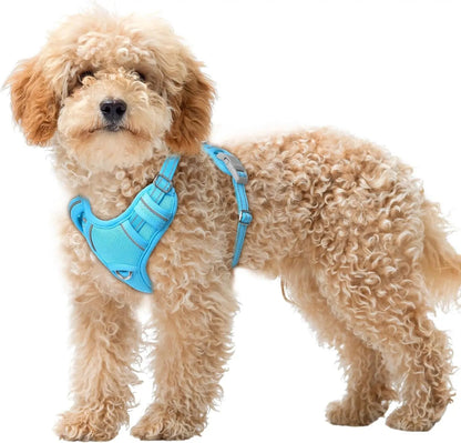 Reflective No-Pull Dog Harness, Adjustable Comfort for Training & Walking Blue X-Small