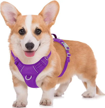 Reflective No-Pull Dog Harness, Adjustable Comfort for Training & Walking Purple Medium
