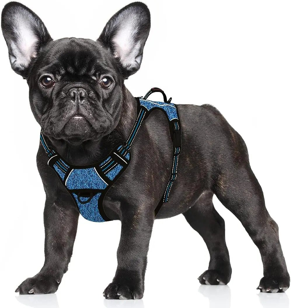 Reflective No-Pull Dog Harness, Adjustable Comfort for Training & Walking Blue Black Small