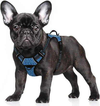 Reflective No-Pull Dog Harness, Adjustable Comfort for Training & Walking Blue Black Small