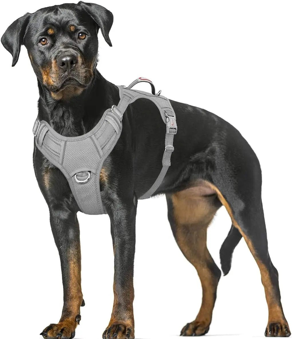 Reflective No-Pull Dog Harness, Adjustable Comfort for Training & Walking Grey X-Large
