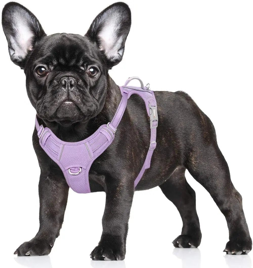 Reflective No-Pull Dog Harness, Adjustable Comfort for Training & Walking Violet Purple Small