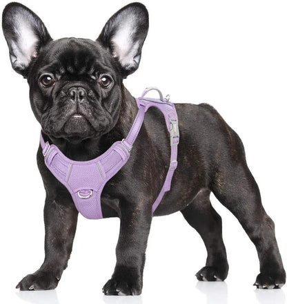 Reflective No-Pull Dog Harness, Adjustable Comfort for Training & Walking Violet Purple Small