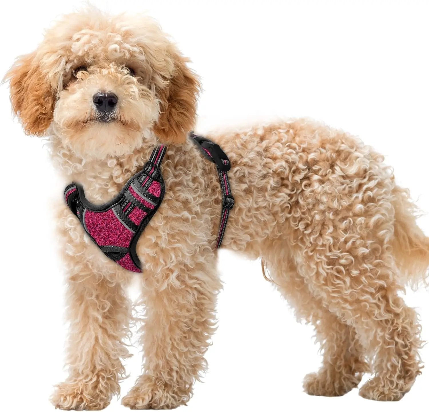 Reflective No-Pull Dog Harness, Adjustable Comfort for Training & Walking Pink Black X-Small