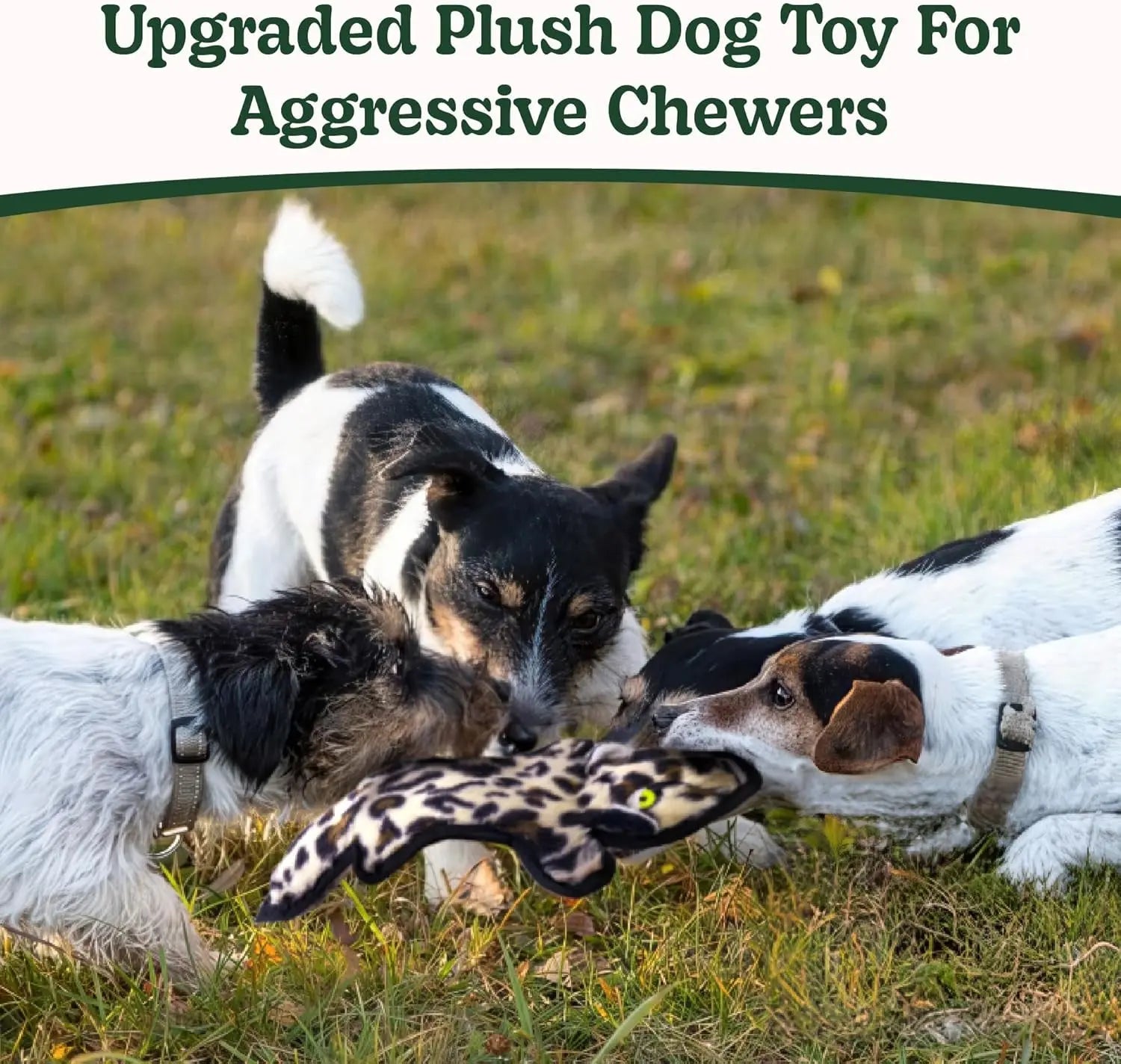 No Stuffing Dog Toy Crinkle 6-Layer Durable XS–L for Aggressive chewers