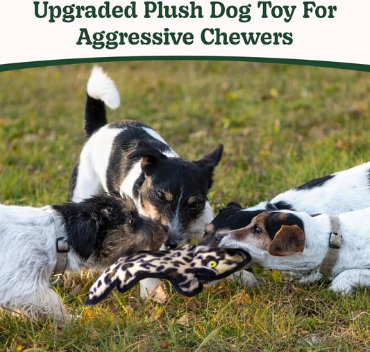 No Stuffing Dog Toy Crinkle 6-Layer Durable XS–L for Aggressive chewers