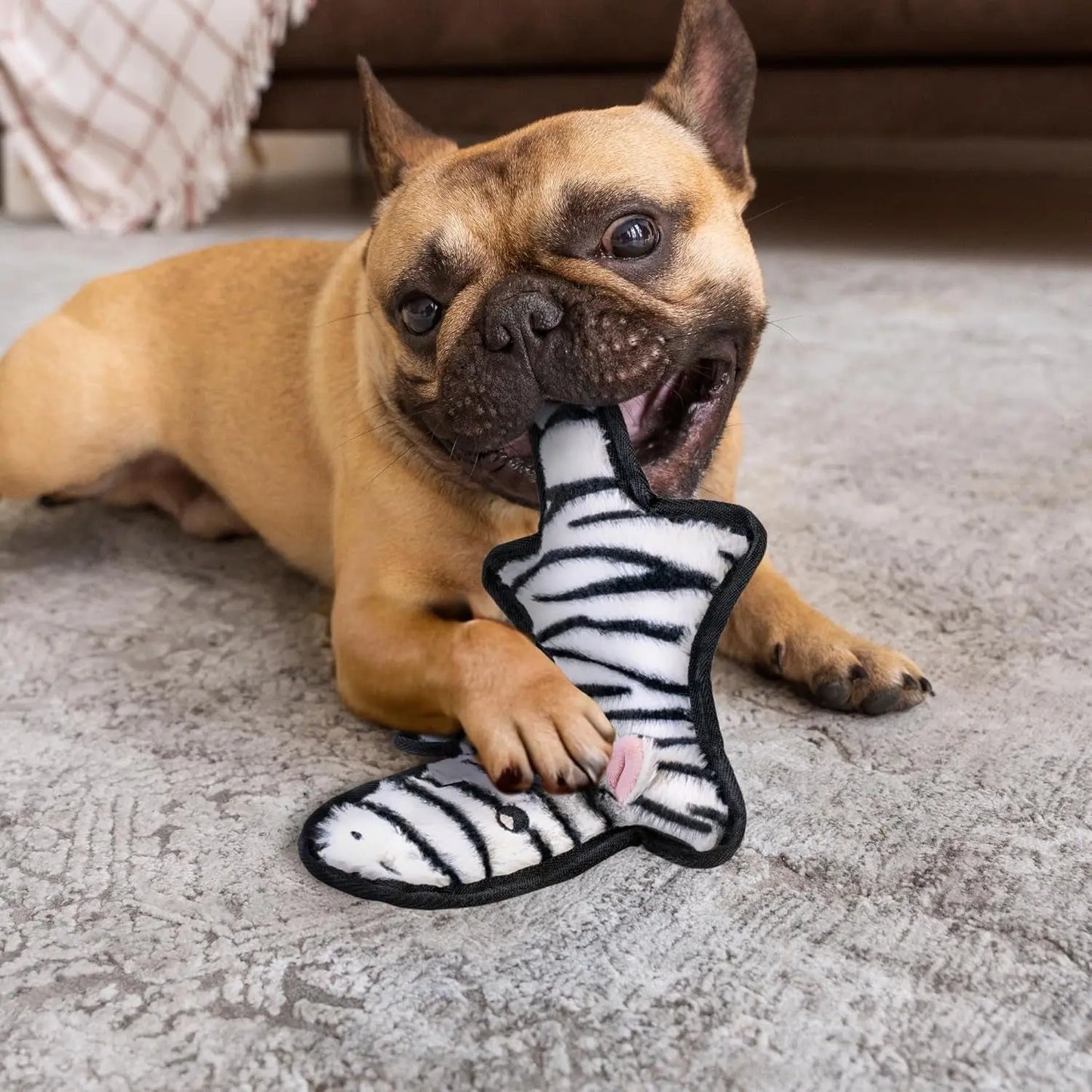 No Stuffing Dog Toy Crinkle 6-Layer Durable XS–L for Aggressive chewers
