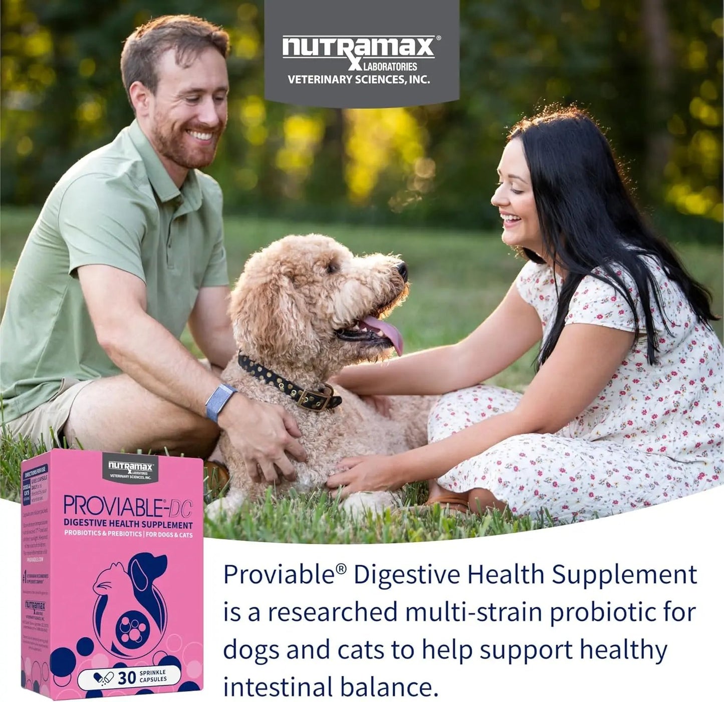 Nutramax Proviable Probiotics for Dogs & Cats – Daily Digestive Health