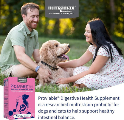 Nutramax Proviable Probiotics for Dogs & Cats – Daily Digestive Health