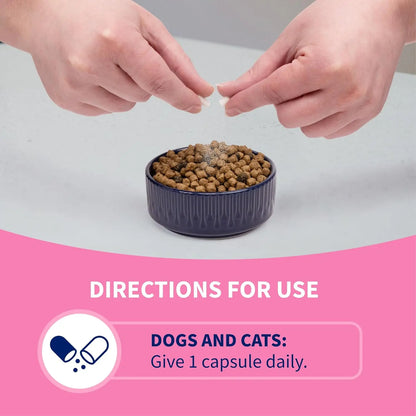 Nutramax Proviable Probiotics for Dogs & Cats – Daily Digestive Health