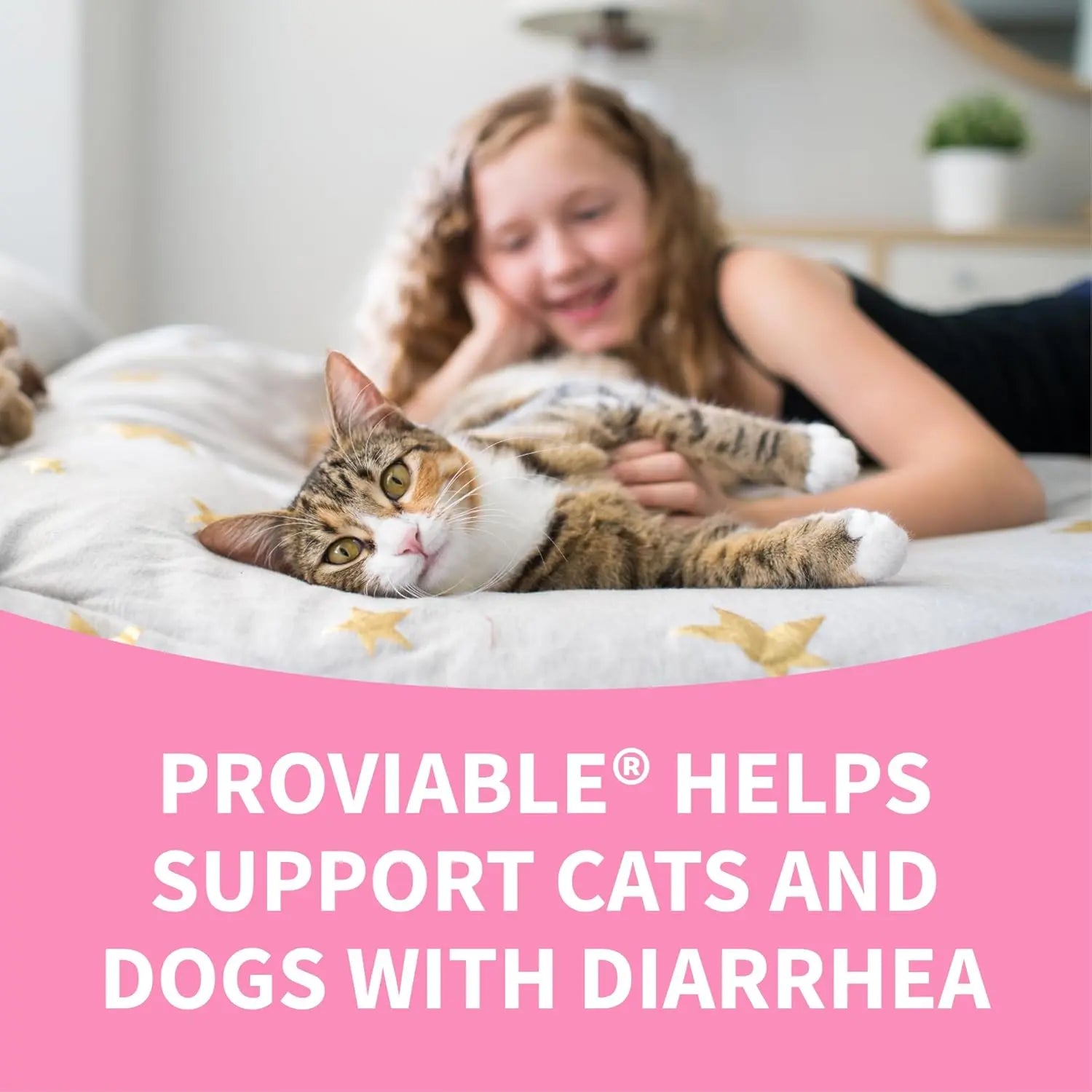 Nutramax Proviable Probiotics for Dogs & Cats – Daily Digestive Health