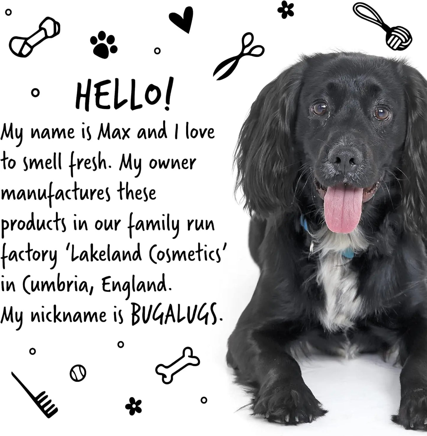 Oatmeal & Aloe Dog Shampoo + Conditioner, Vegan Grooming Wash for Smelly Dogs & Puppies