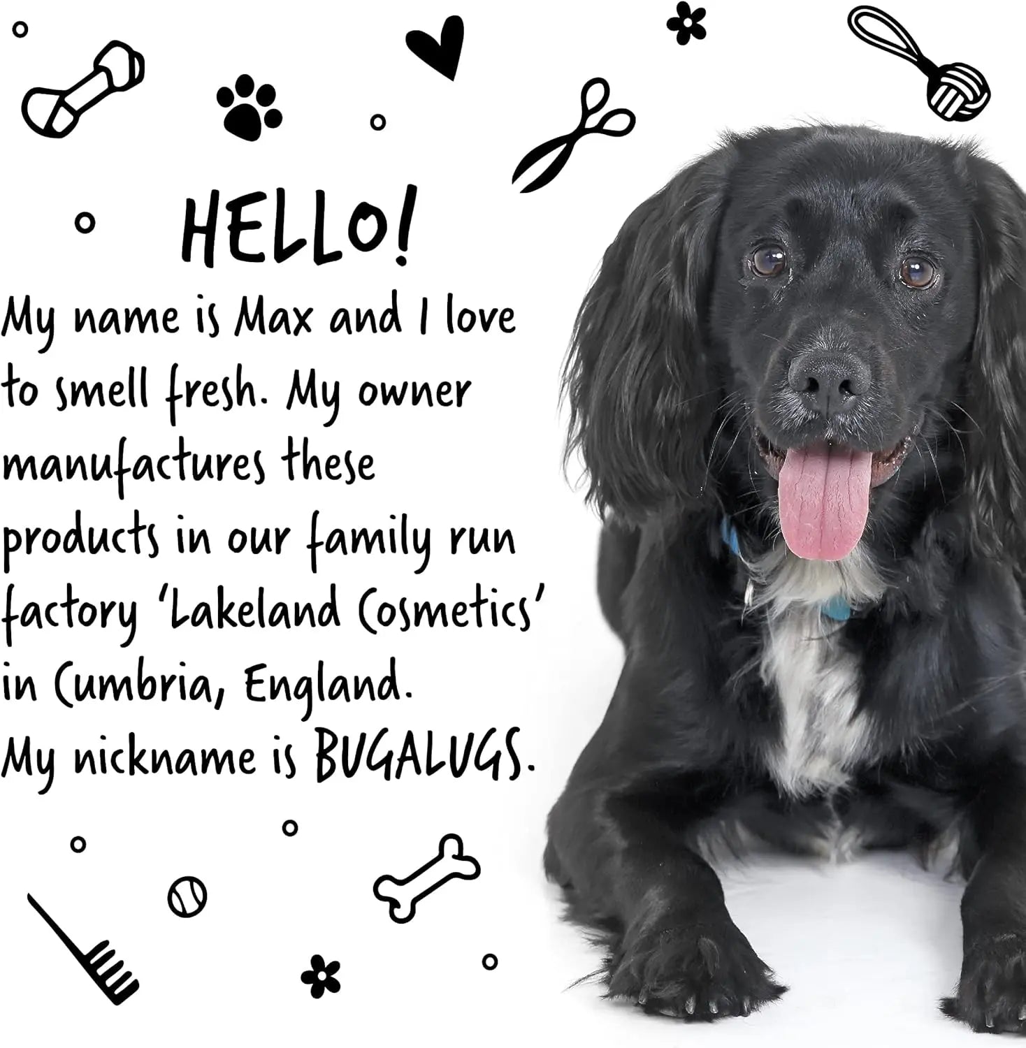 Oatmeal & Aloe Dog Shampoo + Conditioner, Vegan Grooming Wash for Smelly Dogs & Puppies