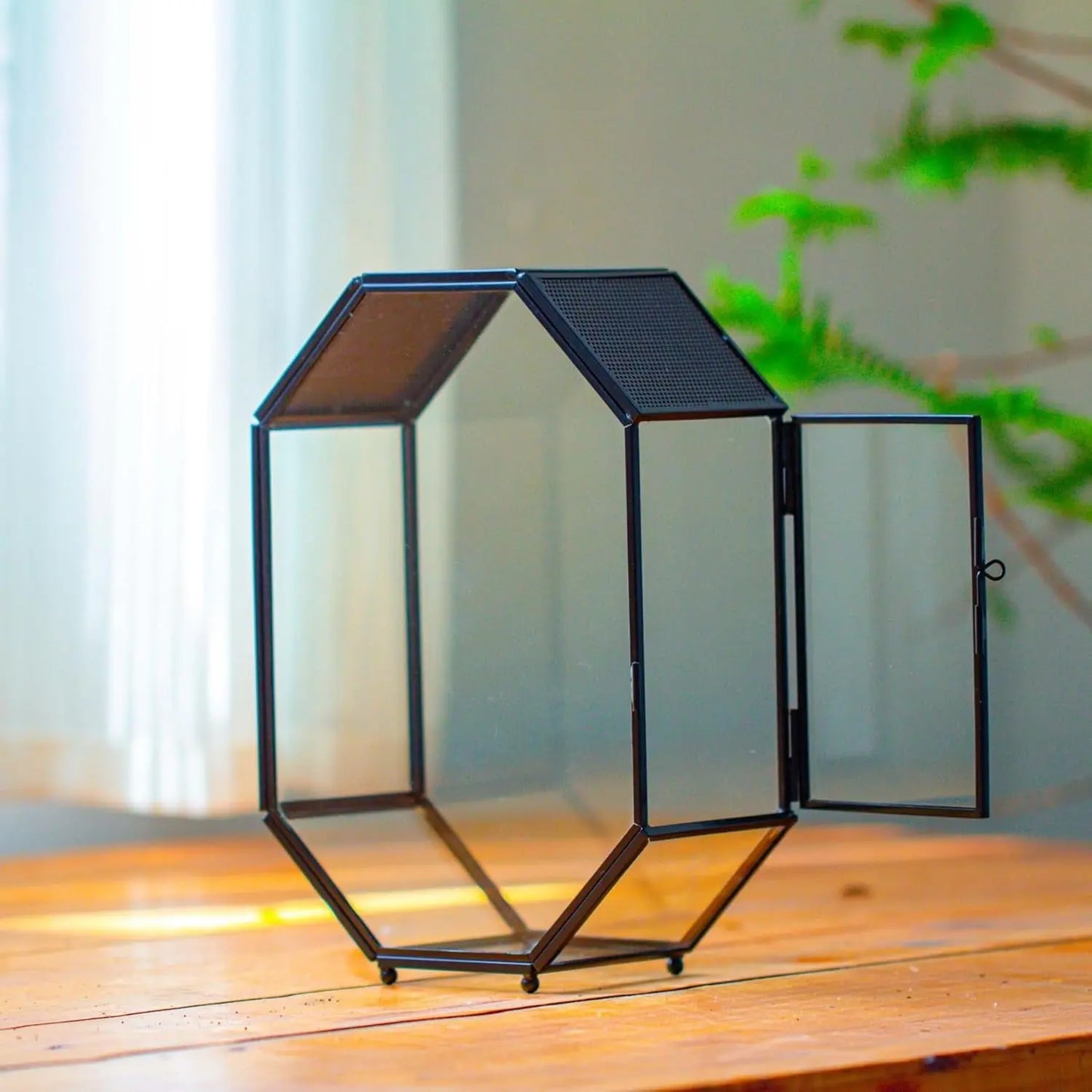 Octagon Glass Terrarium Mesh Door Jumping Spider 8.7in Black