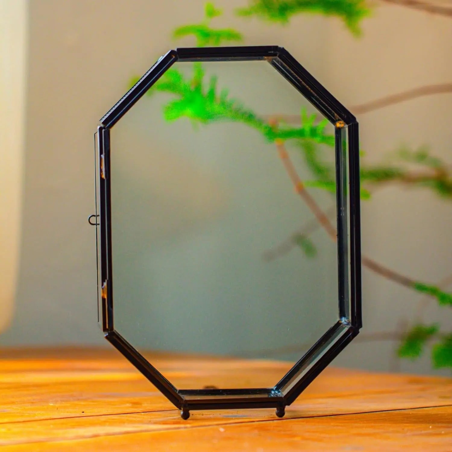 Octagon Glass Terrarium Mesh Door Jumping Spider 8.7in Black