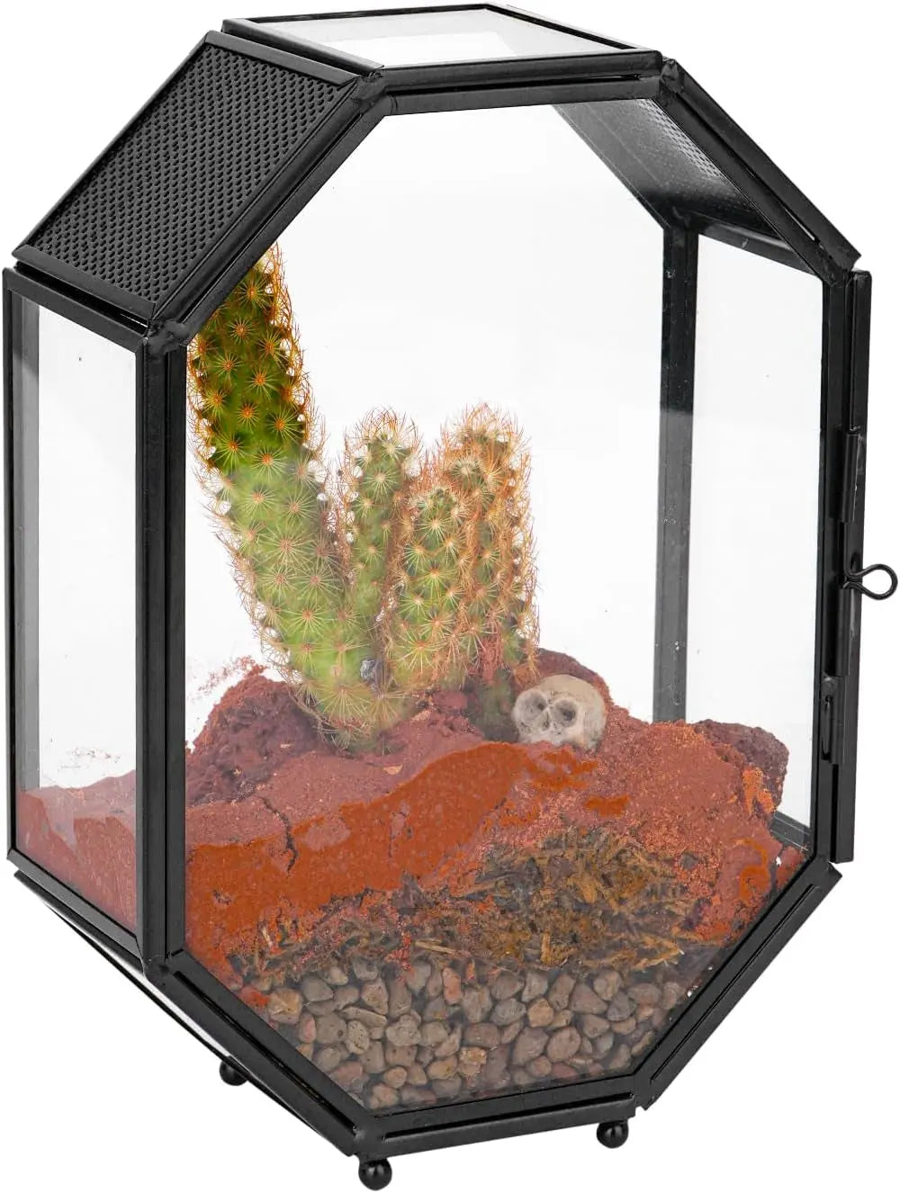 Octagon Glass Terrarium Mesh Door Jumping Spider 8.7in Black 5 X 2.3 X 7 Inches
