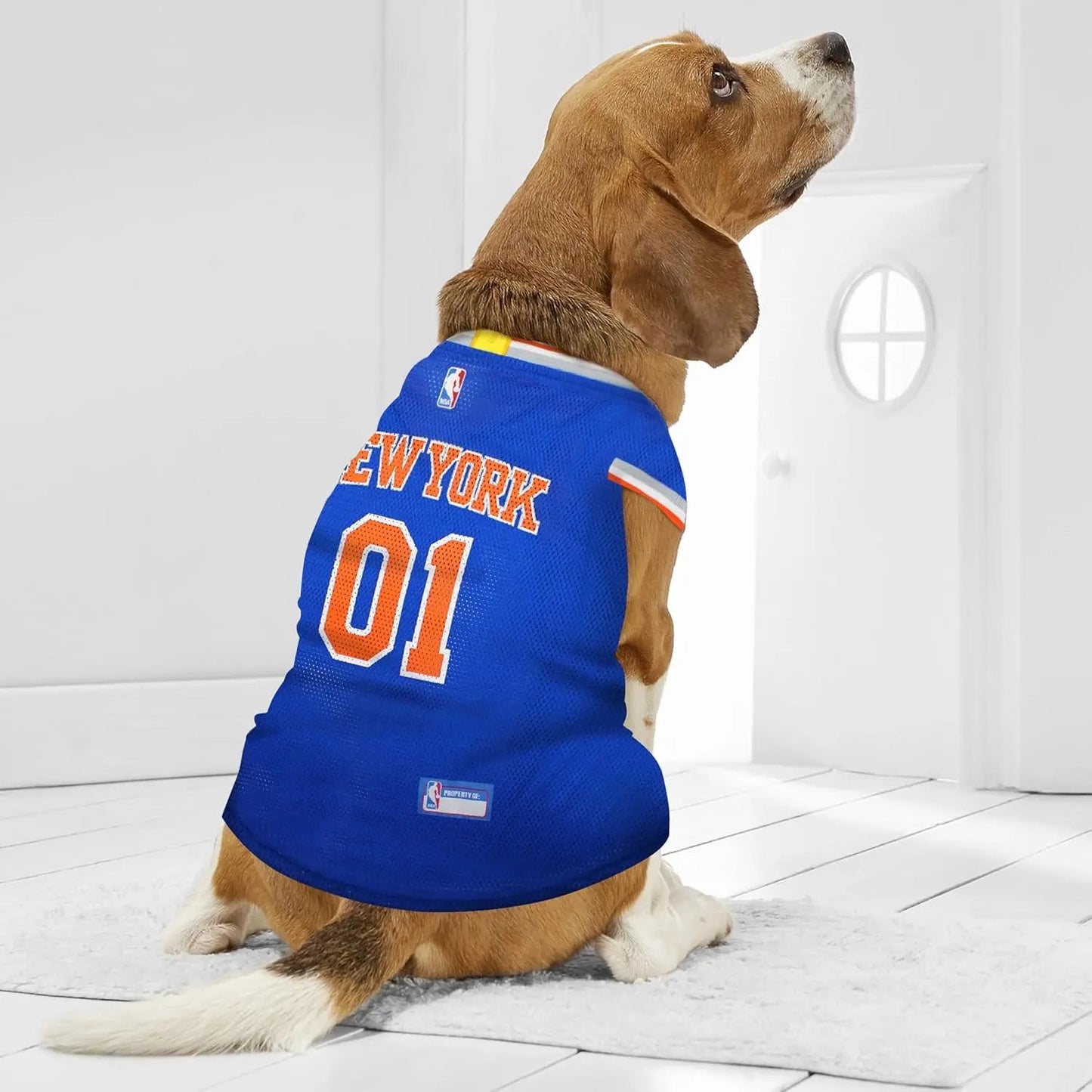 Official NBA Dog Jersey – Licensed Basketball Pet Tank for All Teams & Sizes