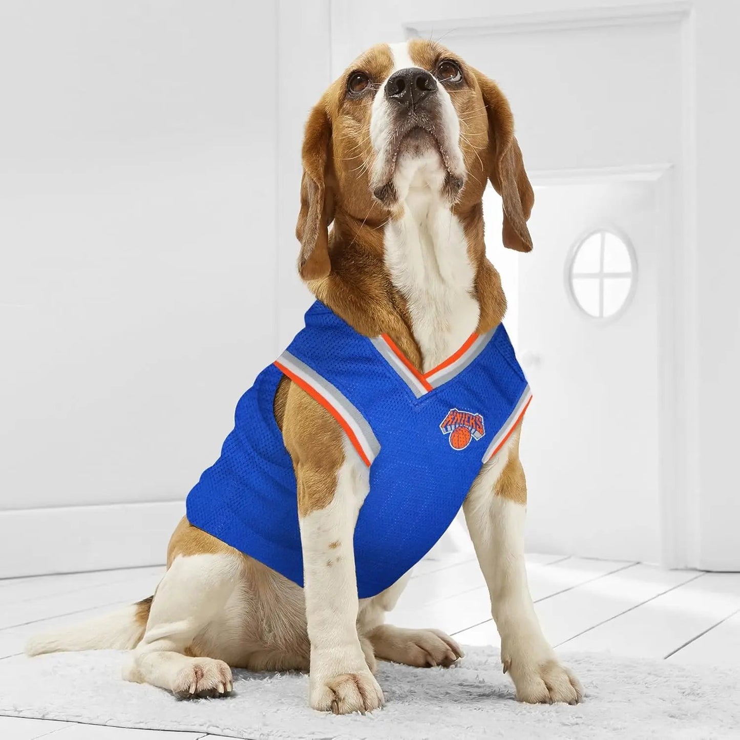 Official NBA Dog Jersey – Licensed Basketball Pet Tank for All Teams & Sizes