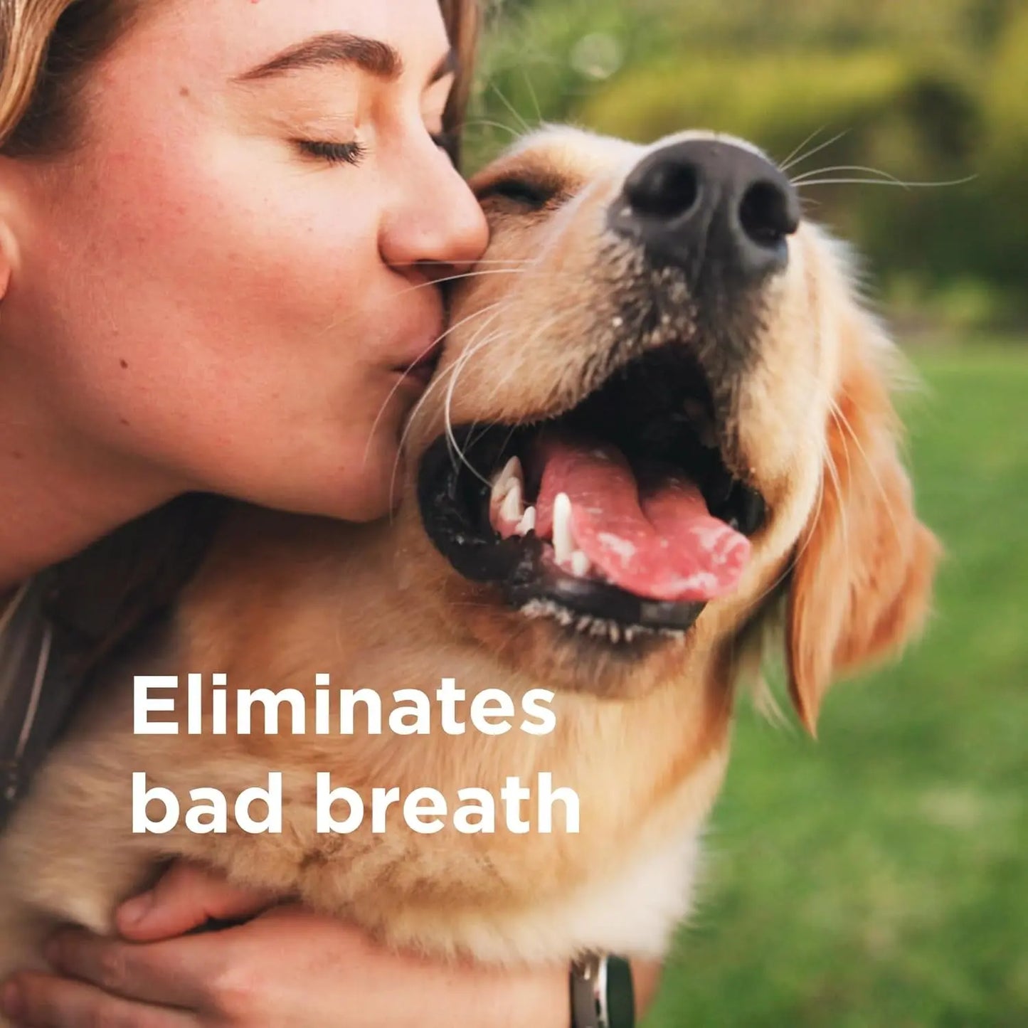 Oral Spray Dogs & Cats Breath & Gum Care 8.5oz with Pure Hypochlorous – 8.5 Oz