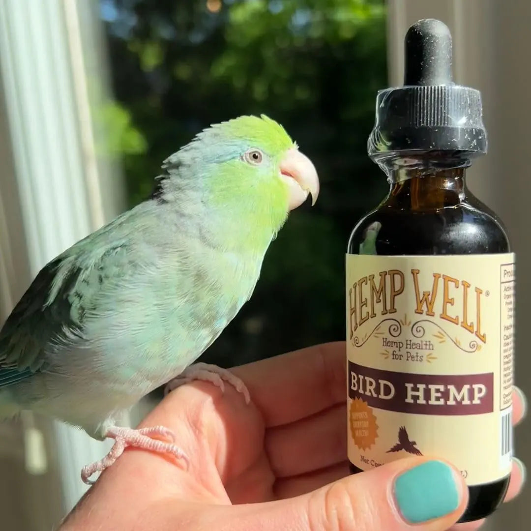Organic Hemp Oil for Birds 2oz Feather & Immune Support Parrot