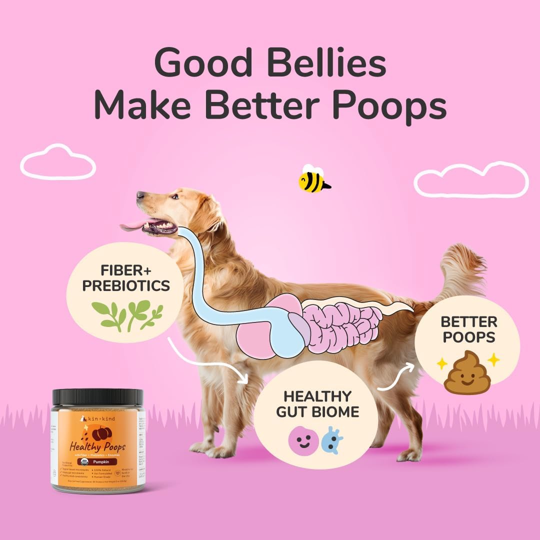 Organic Pumpkin Powder Dogs Cats Digestive Probiotic Fiber Support 8oz