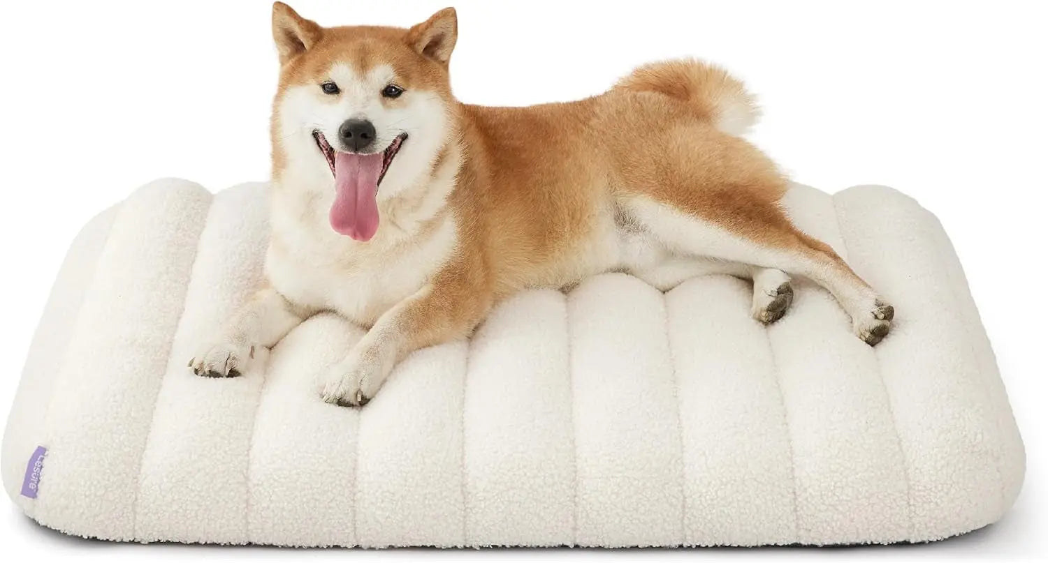 Orthopedic Dog Bed for Large Dogs | Waterproof Plush Mat w/ Washable Cover Cream 30"L X 20"W X 4"Th
