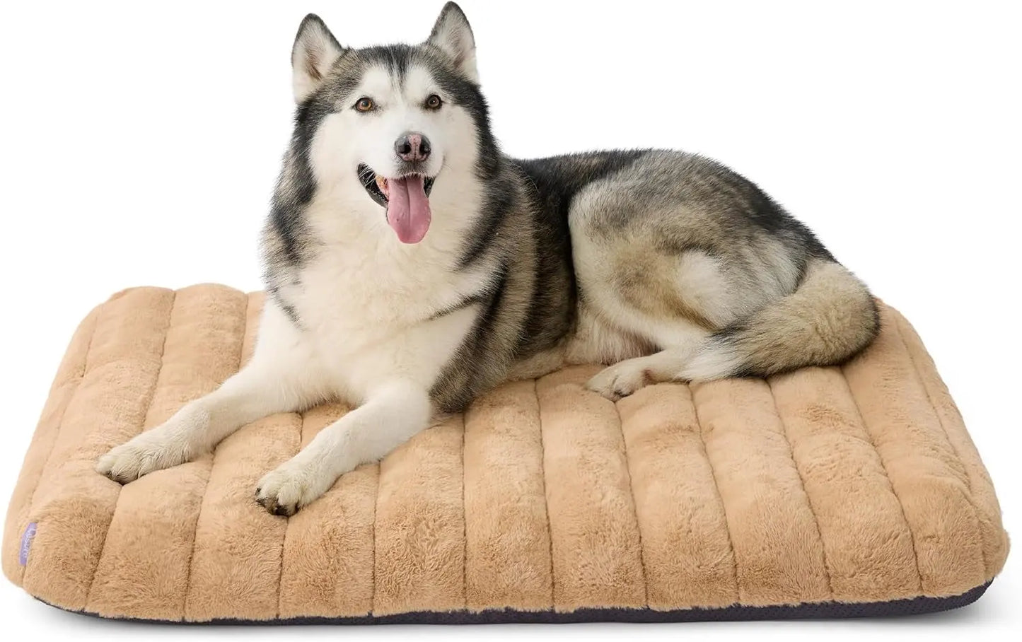 Orthopedic Dog Bed for Large Dogs | Waterproof Plush Mat w/ Washable Cover Beige 44"L X 32"W X 4"Th