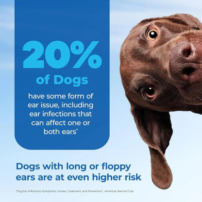 Oticbliss Medicated Ear Flush for Dogs & Cats – Chlorhexidine & Ketoconazole 12oz