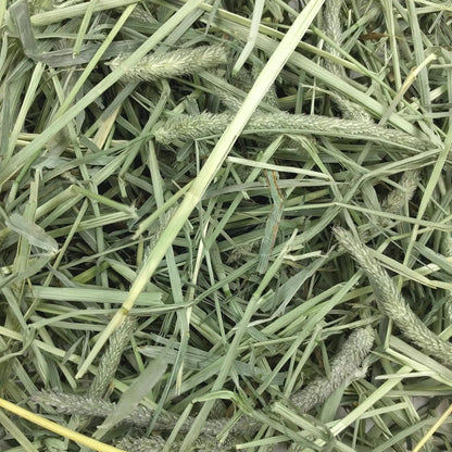 Oxbow Western Timothy Hay 90oz Natural Grass for Rabbits Guinea Pigs