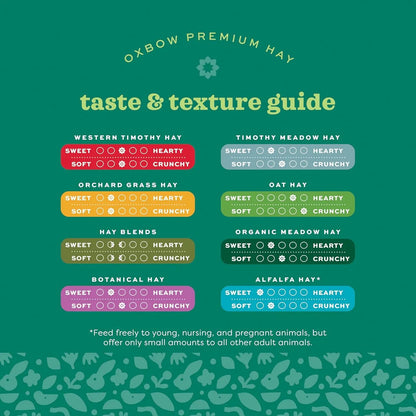 Oxbow Western Timothy Hay 90oz Natural Grass for Rabbits Guinea Pigs