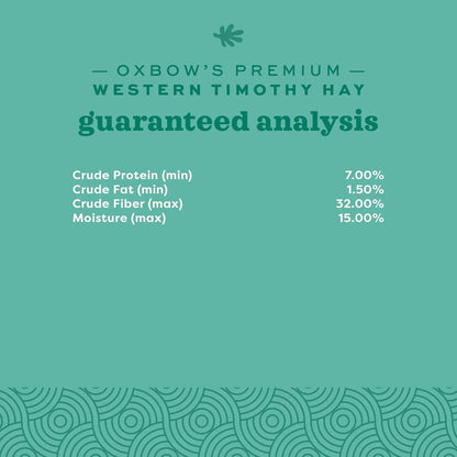 Oxbow Western Timothy Hay 90oz Natural Grass for Rabbits Guinea Pigs