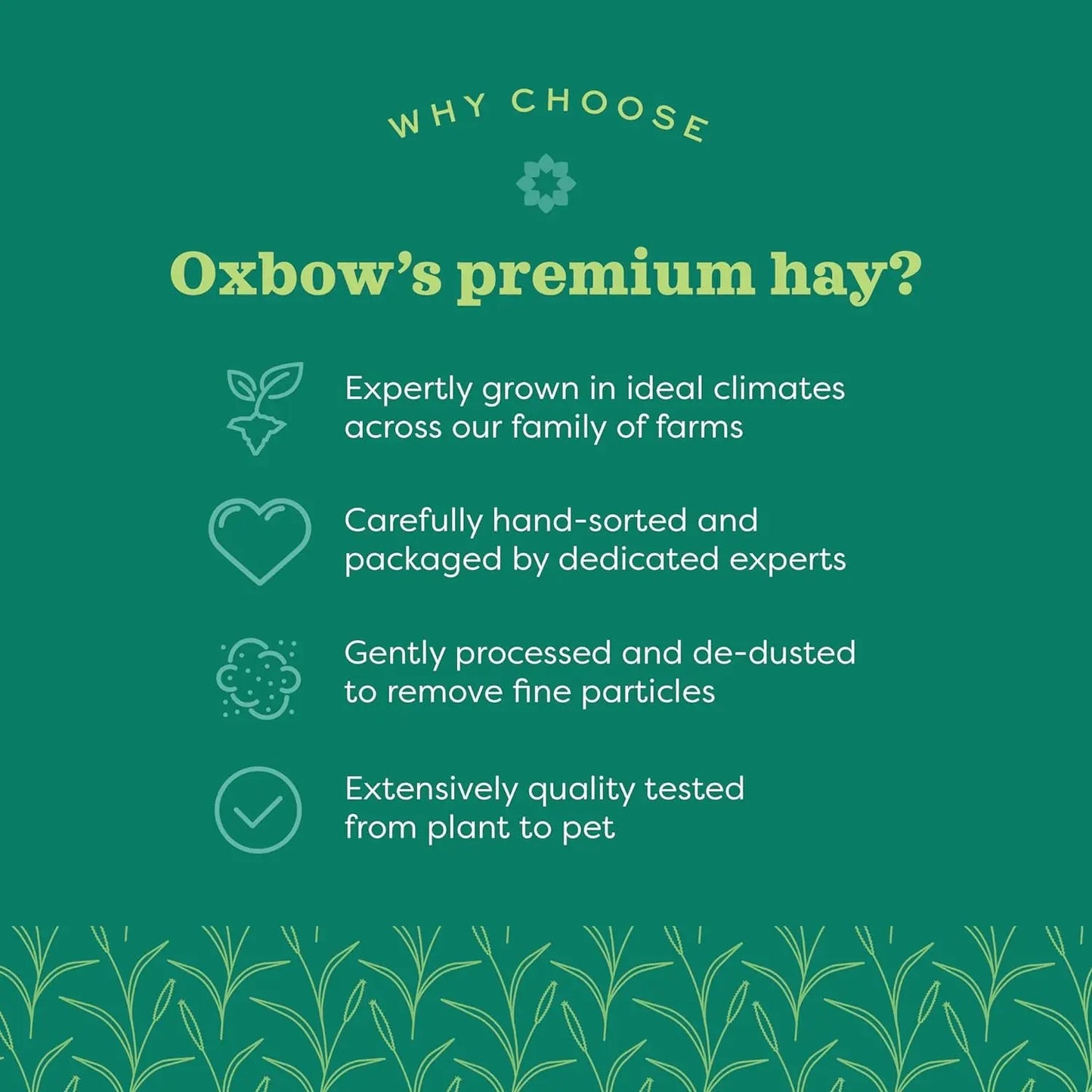 Oxbow Western Timothy Hay 90oz Natural Grass for Rabbits Guinea Pigs