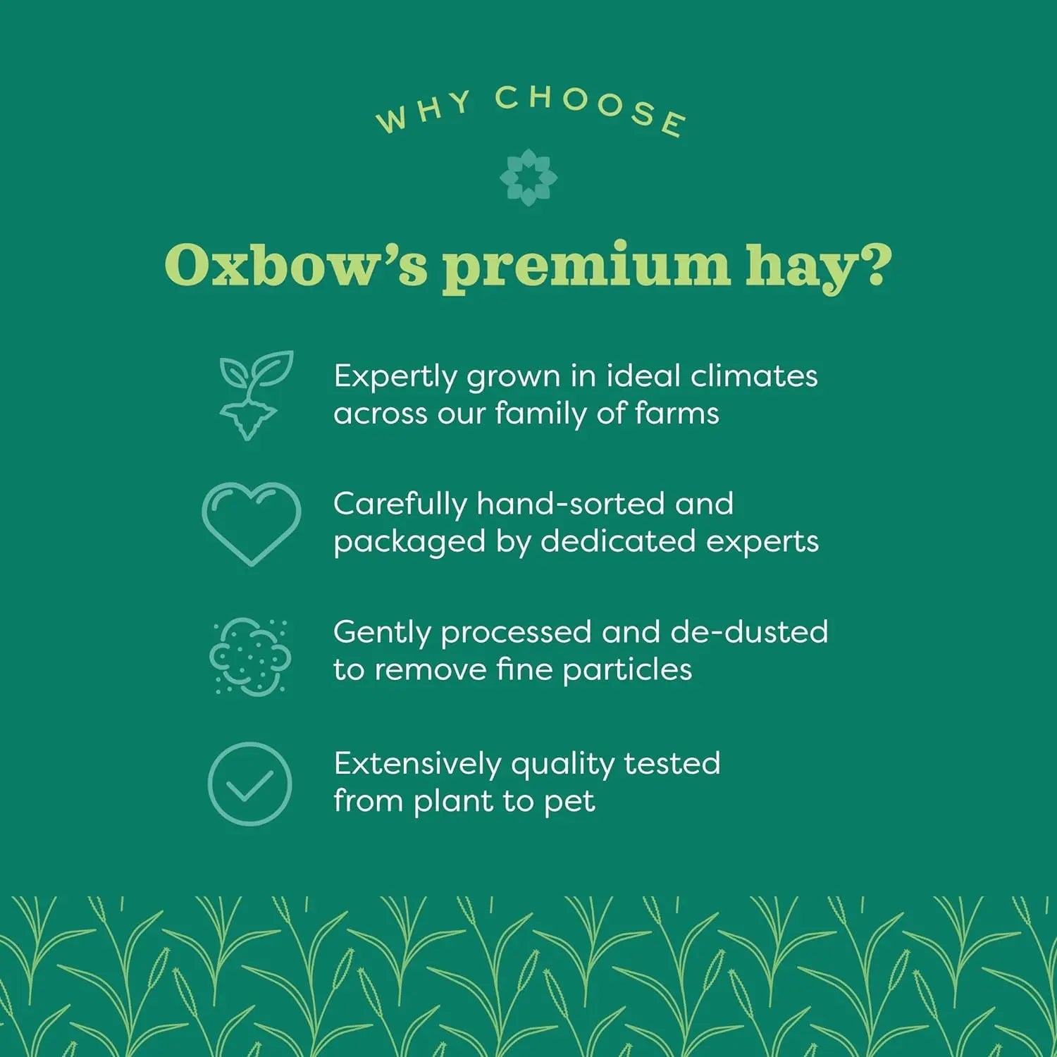 Oxbow Western Timothy Hay 90oz Natural Grass for Rabbits Guinea Pigs